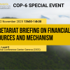 Secretariat briefing on financial resources and mechanism