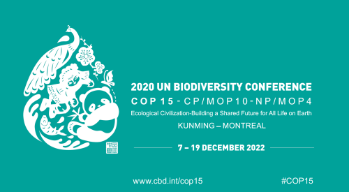 CBD COP-15
