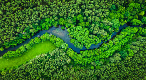 biodiversity