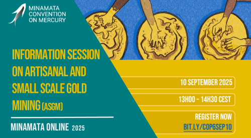 Information session on artisanal and small-scale gold mining (ASGM) (COP-6 preparation)