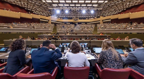 COP-6 plenary