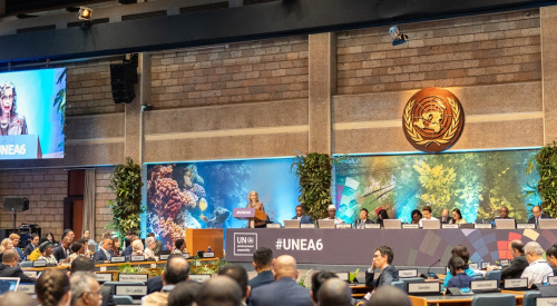 UNEA7