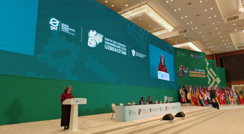 Final GEF-8 Assebmly Statement
