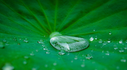 Water