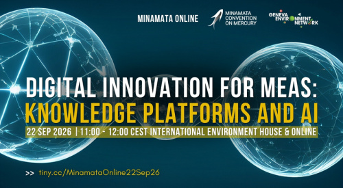 Minamata Online