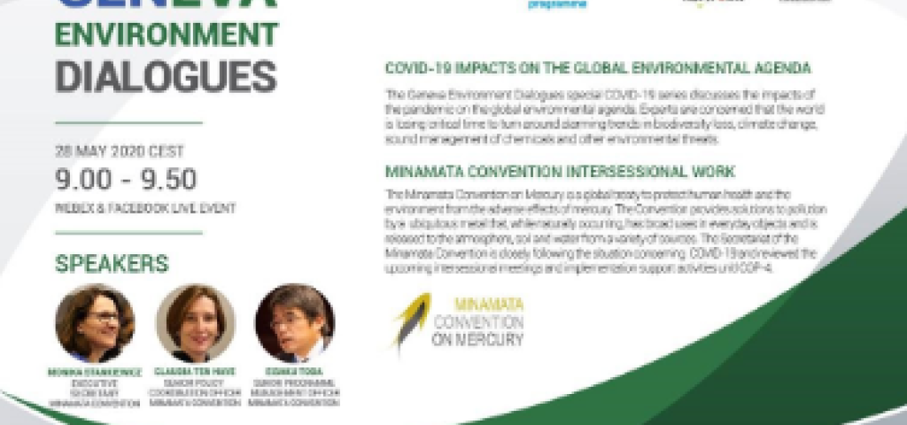 Geneva Environment Dialogues - Intersessional Work | Minamata ...