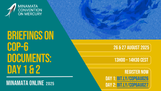 Minamata Online: Briefings sessions on COP-6 documents: Day 2 (27 August 2025)