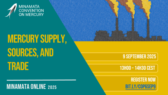 Minamata Online: Mercury supply, sources, and trade (COP-6 preparation) (9 September 2025)