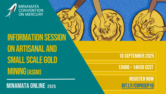 Information session on artisanal and small-scale gold mining (ASGM) (COP-6 preparation)