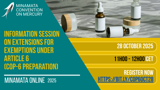 Information session on extensions for exemptions under Article 6 (COP-6 Preparation)