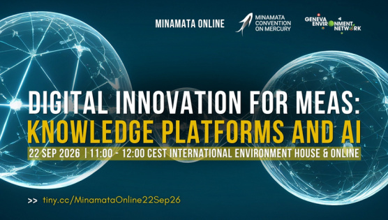 Minamata Online